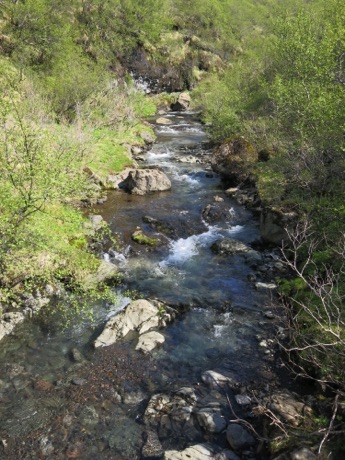 a stream on our Skaftafell Nature preserve hike